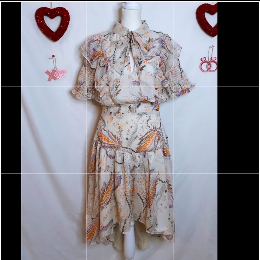 NWT Walter Baker “Emma” Dress